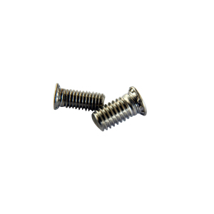 Pressure riveting screws